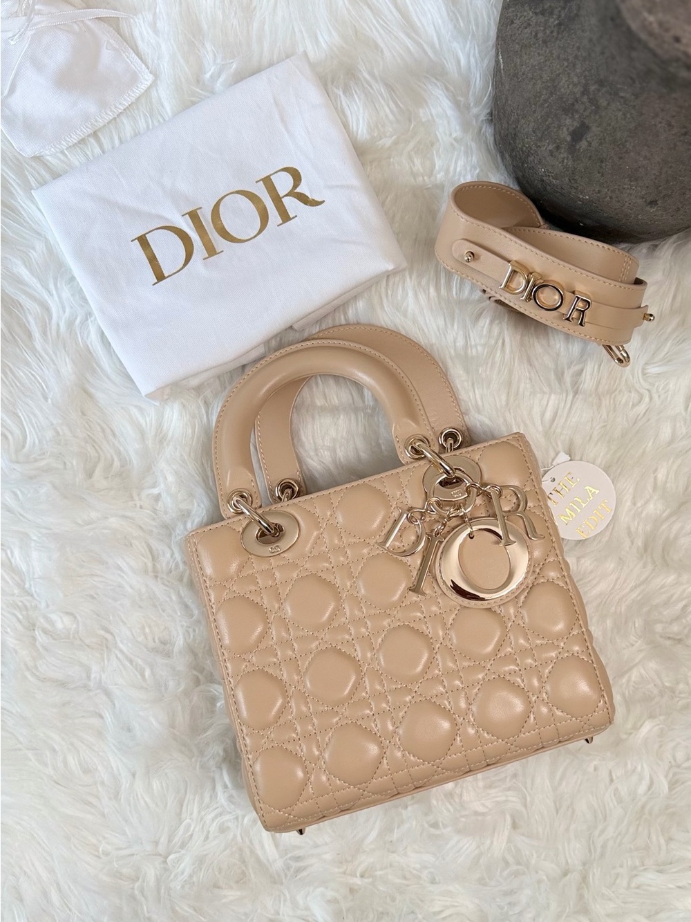 CHRISTIAN DIOR MY LADY D LAMBSKIN CANNAGE WITH LUCKY BADGES in SMALL